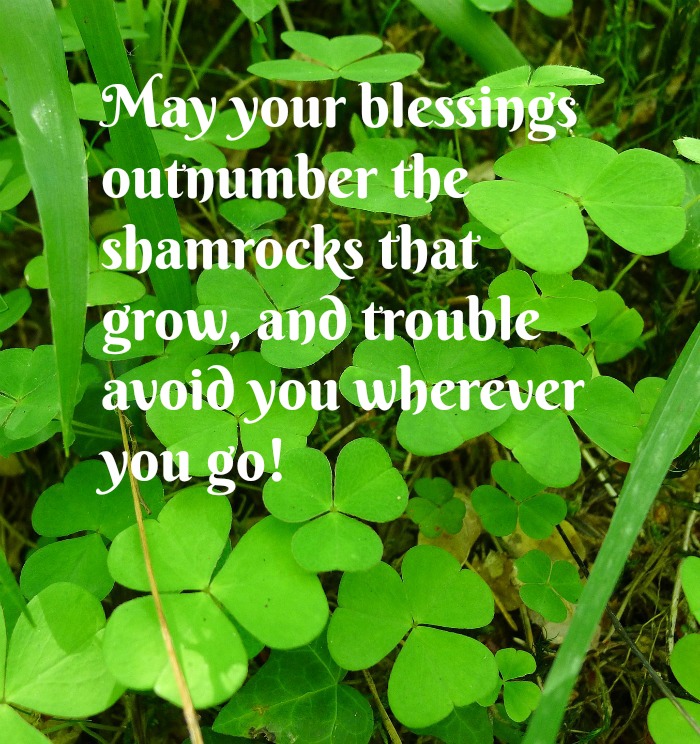 Field of four leaf clovers with a St Patrick's day blessings quotes text overlay.