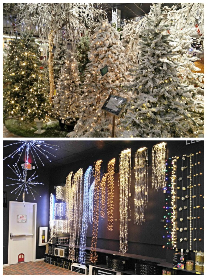 Christmas trees and lights