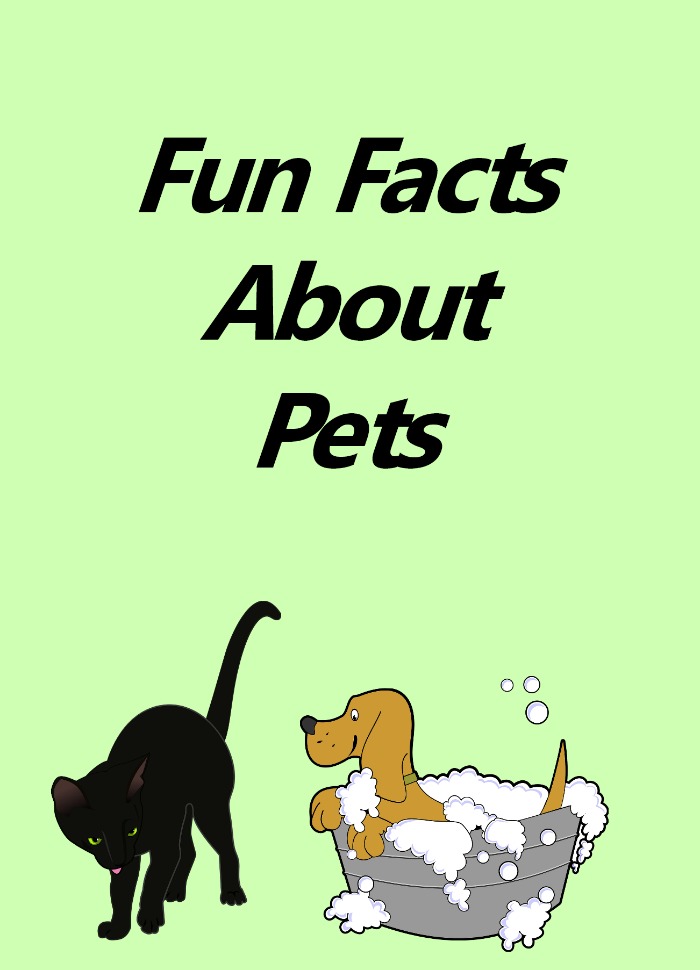 A plain green background with the text "Fun Facts About Pets" at the top, and a clipart black cat at the bottom next to a clipart dog in a bubble bath.