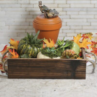 Succulent planter box