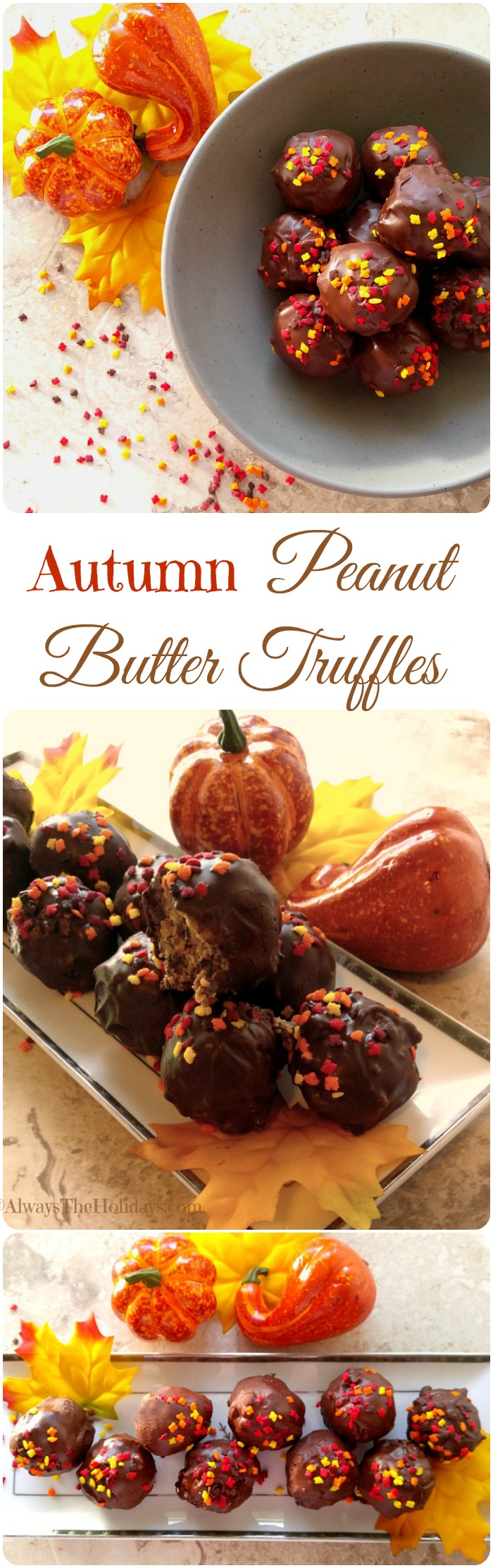 Peanut Butter Chocolate Truffles Welcome Autumn in Style