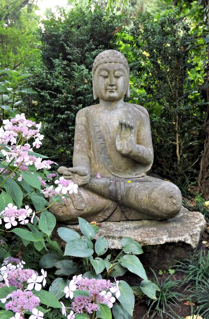 Large stone buddha statue in a garden bed surrounded by greenery and pink flowers to celebrate National Garden Meditation Day.