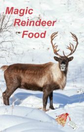 Reindeer Food Bags - Magic Reindeer Dust - Free Poem Printable Tags