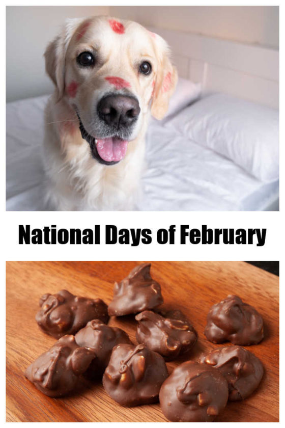 Dogs In February What are the National Days in February? - Get the List to Find Out!