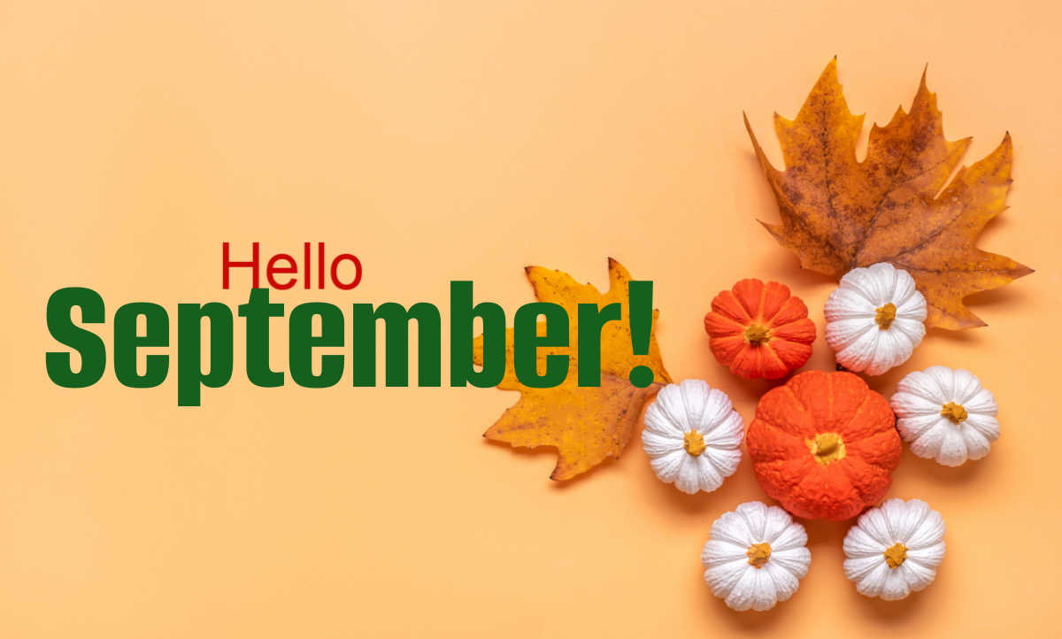 Pumpkins and leaves with text reading Hello September!