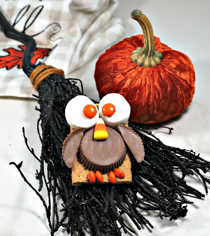 Owl cookie on a broom with a pumpkin.