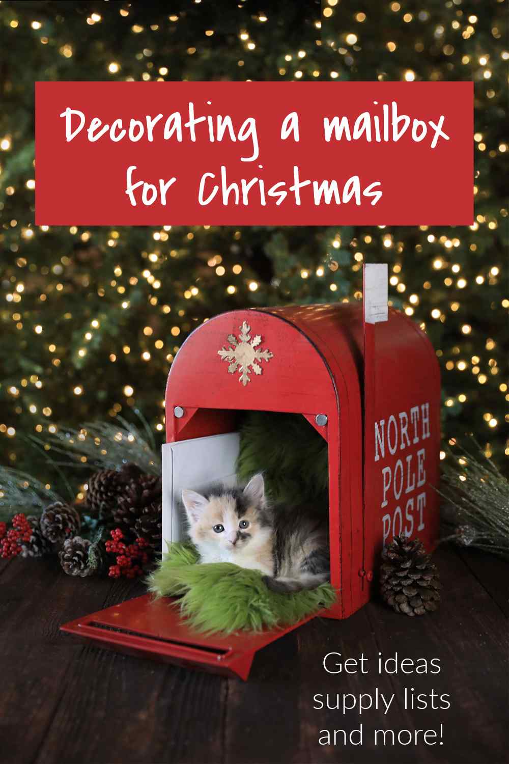 Cute kitten in a mailbox decorated for the holidays.