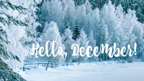 Winter scene with the words Hello December.