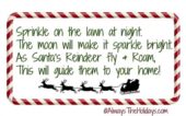 Reindeer Food Bags - Magic Reindeer Dust - Free Poem Printable Tags
