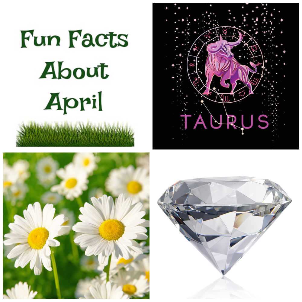 Diamond, Taurus bull, daisy flowers in a collage with words Fun facts about April.