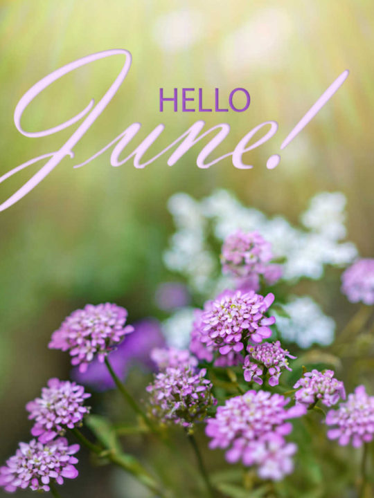 What are the National Days of June? - Find Out With Our Full List