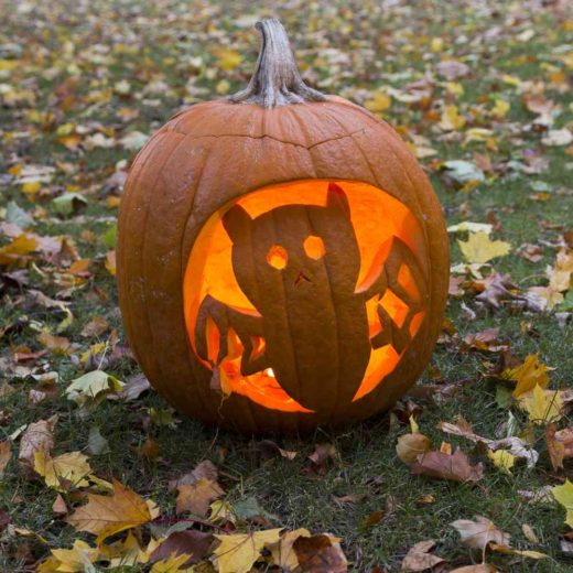 Pumpkin Carving Ideas - Jack o Lantern Faces, Creative Designs & More...