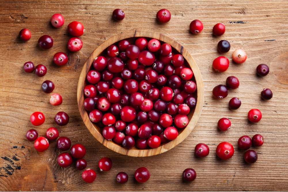 A bowl of fresh cranberries on a wooden table with some cranberries scattered around the bowl.