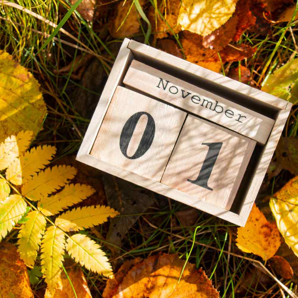 November block calendar with leaves.