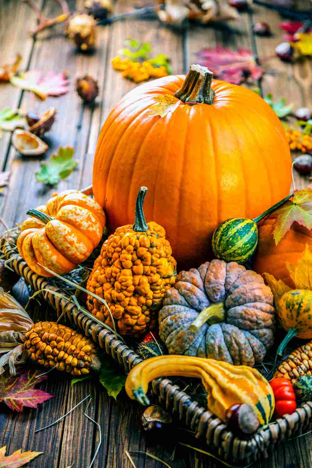 A basket of the different types and colors of pumpkins.