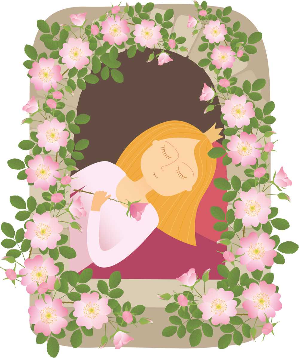 A cartoon version of Sleeping Beauty asleep on her bed, surrounded by a rose adorned window.