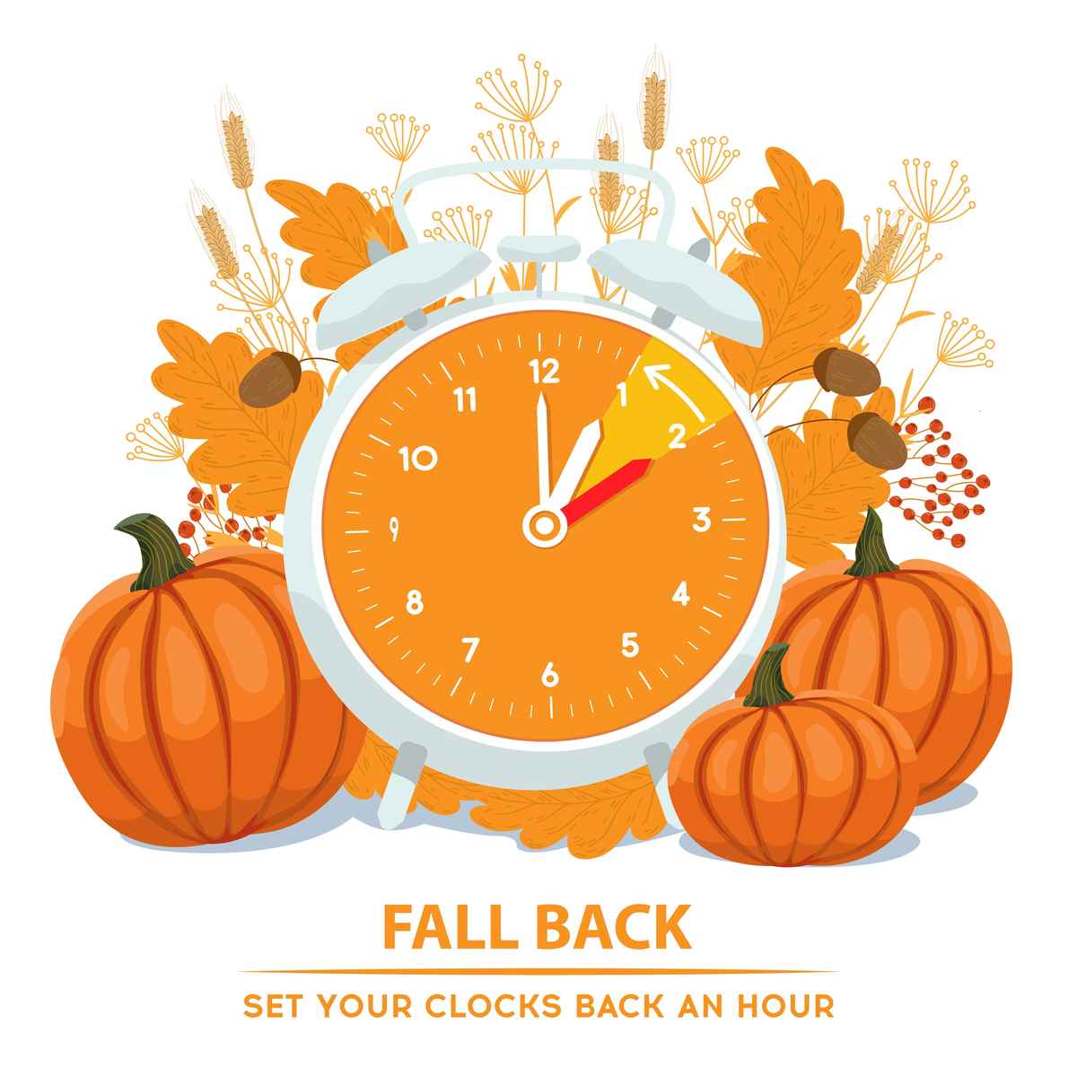 An orange cartoon alarm clock changing to daylight saving time, next to pumpkins with the words "fall back set your clocks back an hour" beneath it.