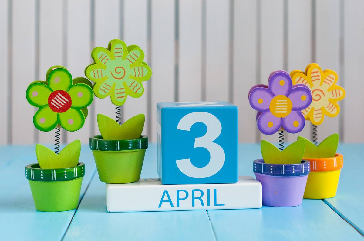 Blocks that read April 3 nestled between four fake potted flowers, the two on the left are green, and the ones on the right are purple and yellow.