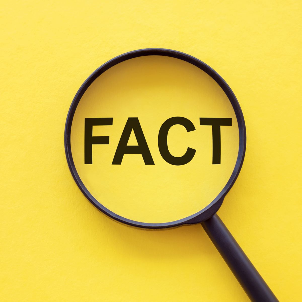 A magnifying glass over the word "fact" on a plain yellow background.