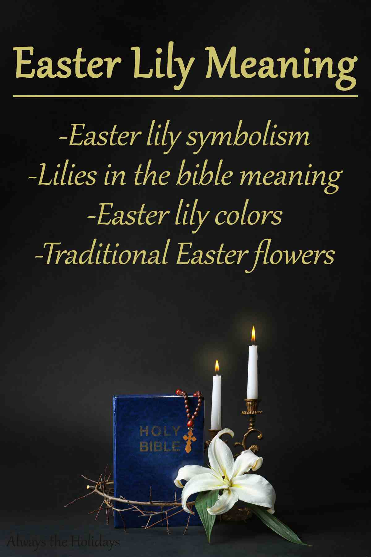 A grey background with a bible, an Easter lily, and two candles at the bottom, with a text overlay at the top which reads "Easter lily meaning - Easter lily symbolism, lilies in the bible meaning, Easter lily colors, traditional Easter flowers".