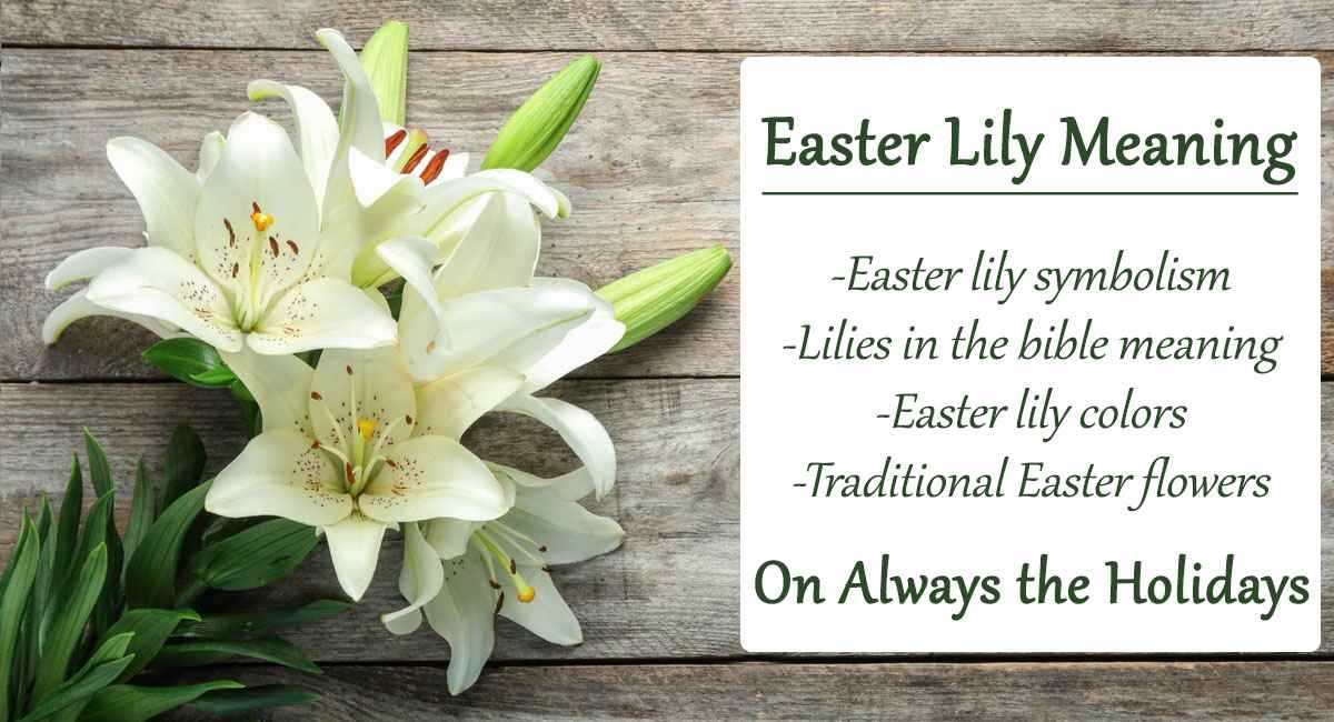 Easter Lily Meaning and Symbolism - Lilies in the Bible, Easter Lily Colors