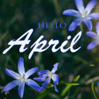 Blur flowers with words hello April.