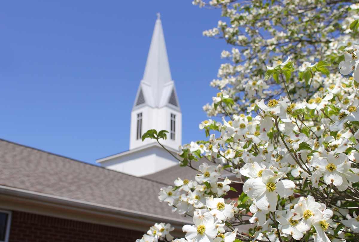 A dogwood tree in the foreground of a photo with a church steeple in the background to show the religious symbolism of dogwood.