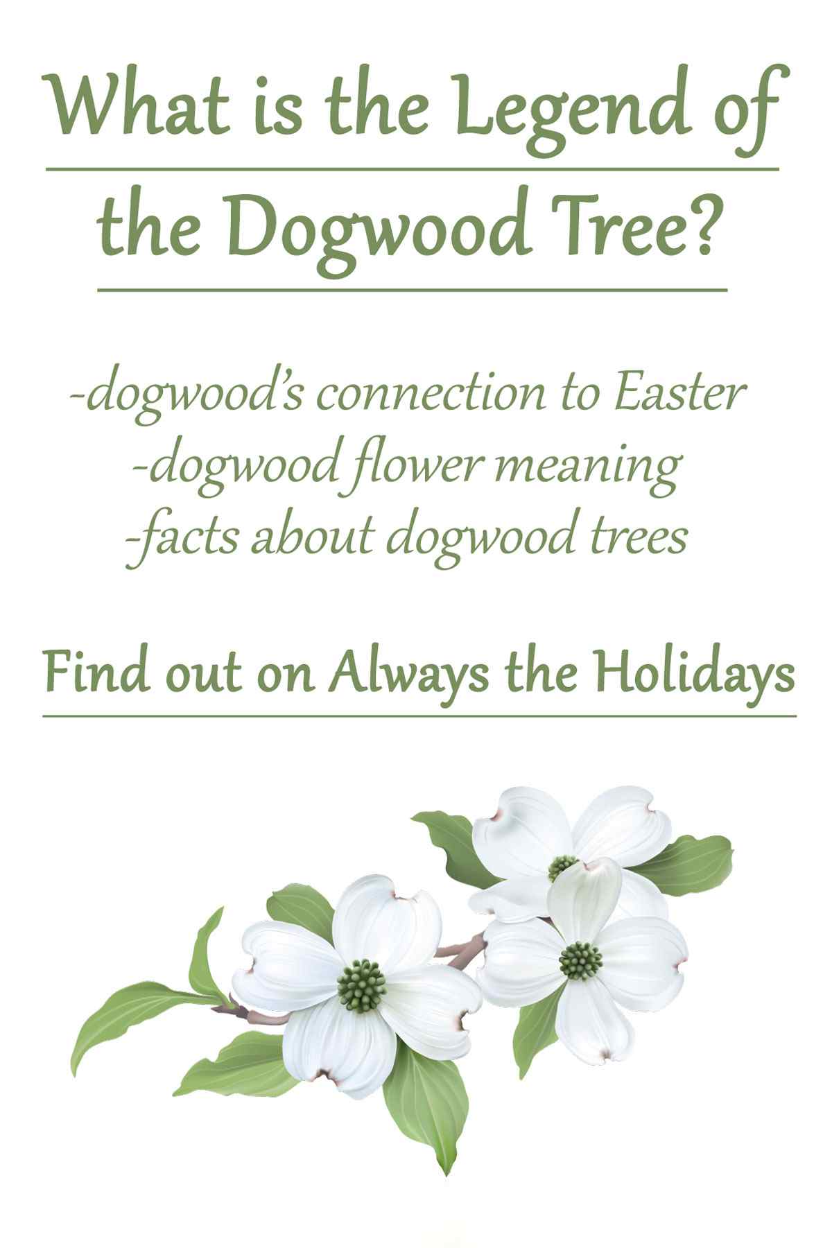 A white background with three illustrated dogwood flowers at the bottom, and a text overlay advertising the legend of the dogwood tree, the dogwood flower meaning and facts about dogwood trees above it.