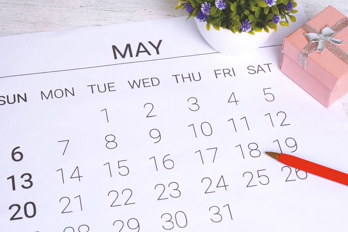 A close up of a May calendar with a pink box, red pen, and plant on top of it, to represent the May national days.