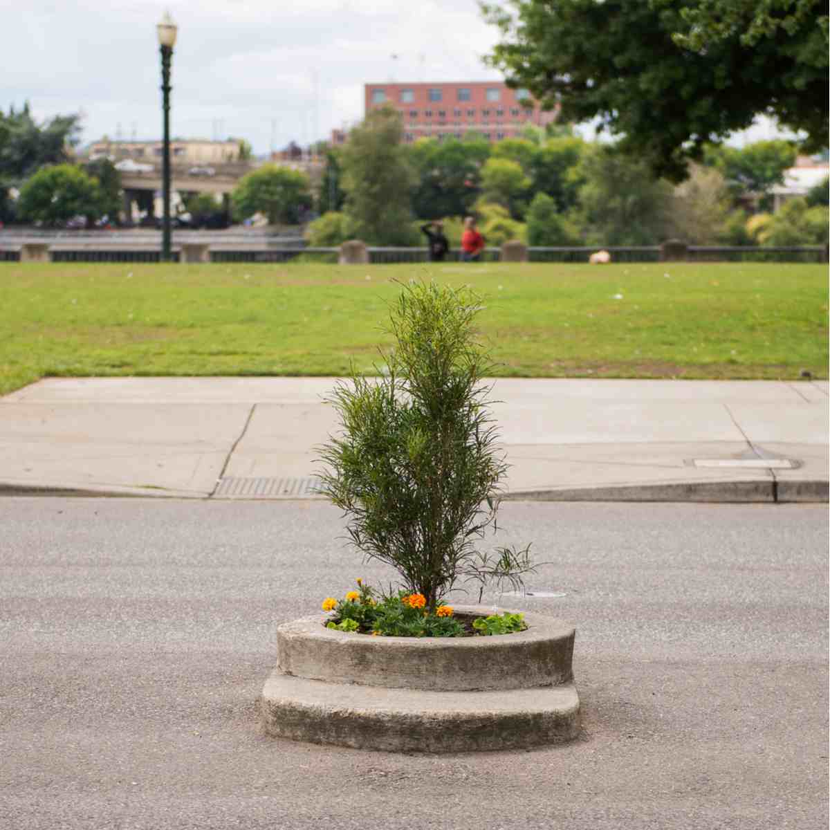 The smallest park in the world called Mills Ends Park, in Oregon, which measures 2 feet across.