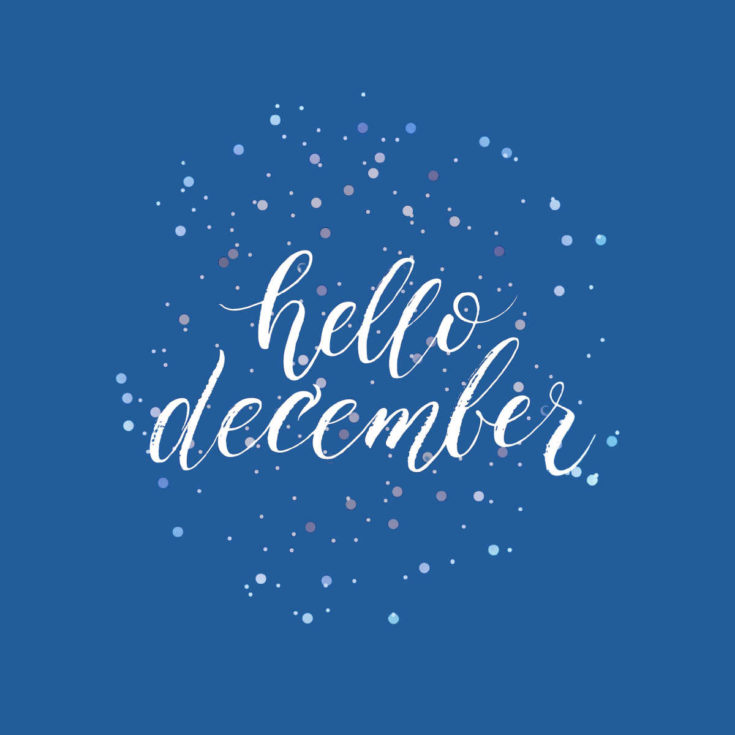 White snowflakes with words hello December.