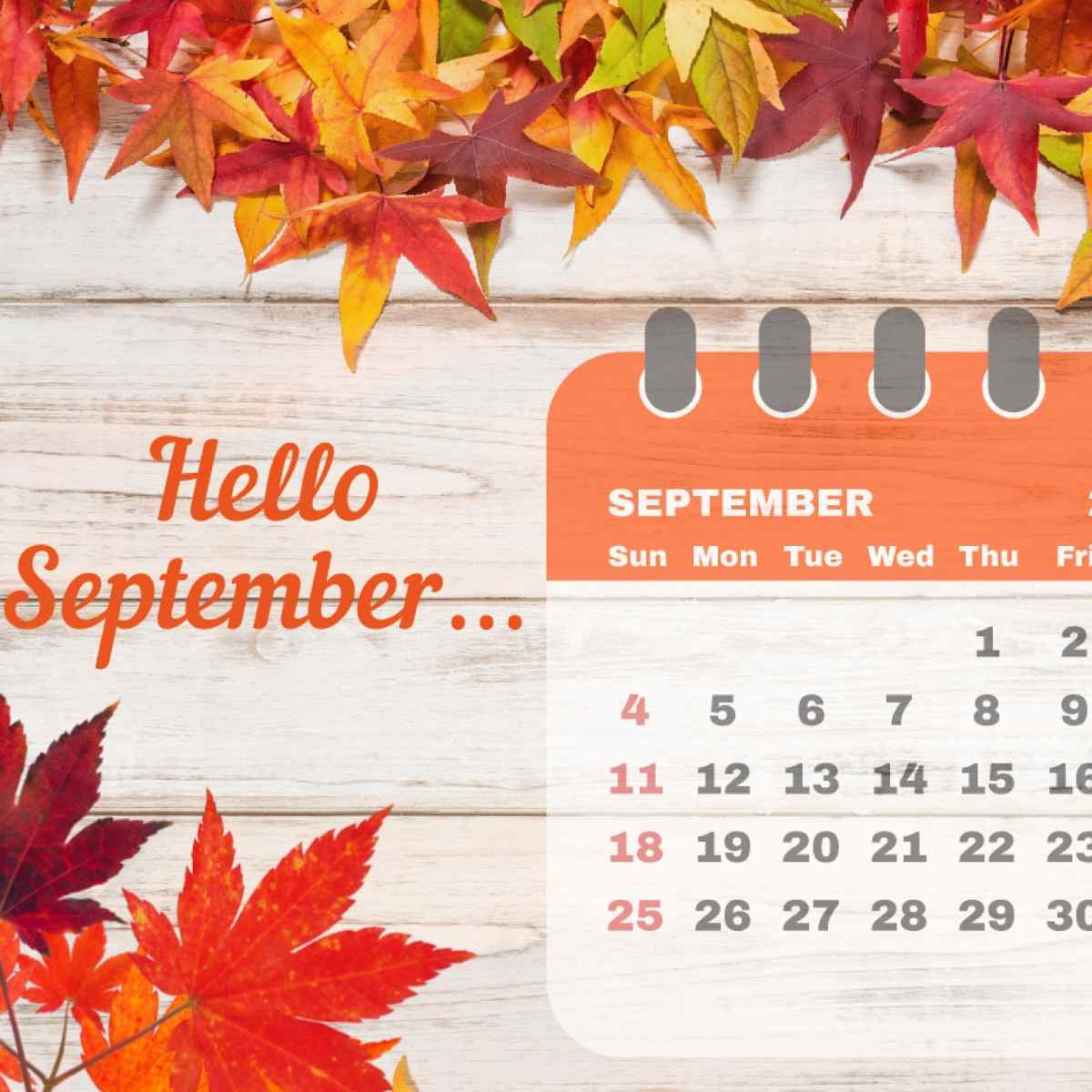 A September calendar surrounded by leaves and the words "Hello September..." to represent all the amazing national days this month.
