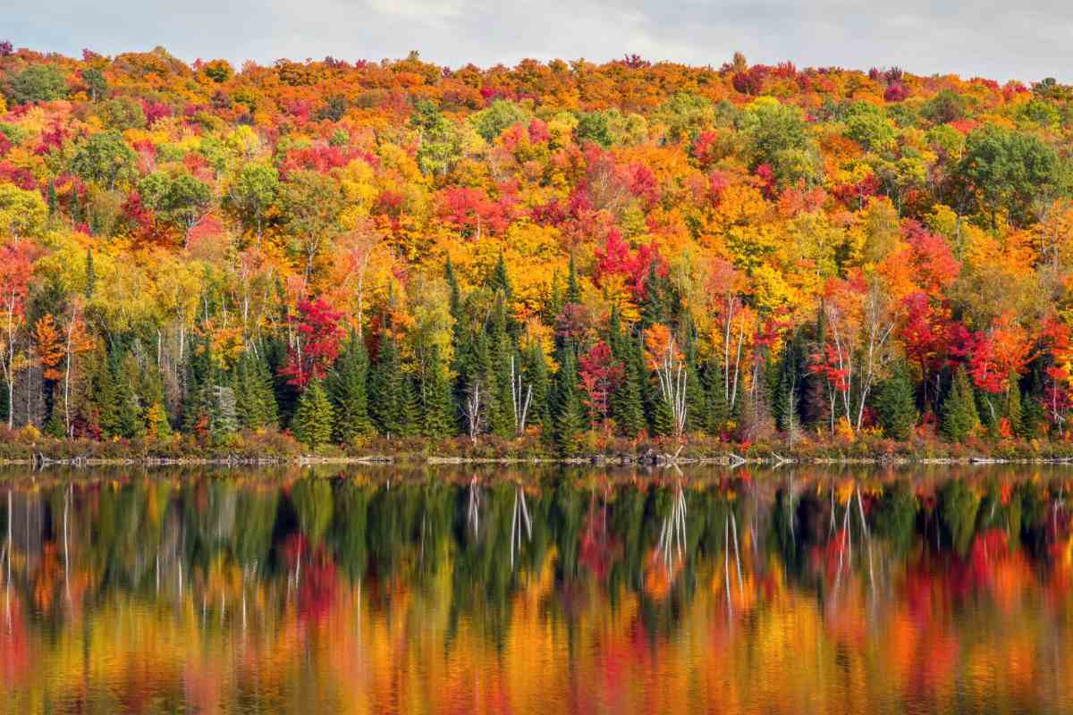 An image of fall trees in reds, oranges, yellows and greens at the edge of a lake with the reflection of the fall foliage in the water.