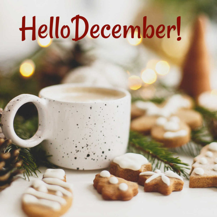 Coffee mug with cookies and words Hello December!