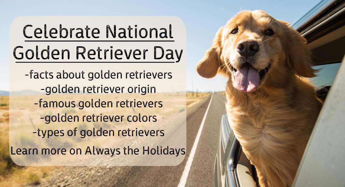 Text in black lettering about golden retrievers that reads "Celebrate National Golden Retriever Day, facts about golden retrievers, golden retriever origin, famous golden retrievers, golden retriever colors, types of golden retrievers" next to a golden retriever dog with his head hanging out the window of a car on a road during the daytime.