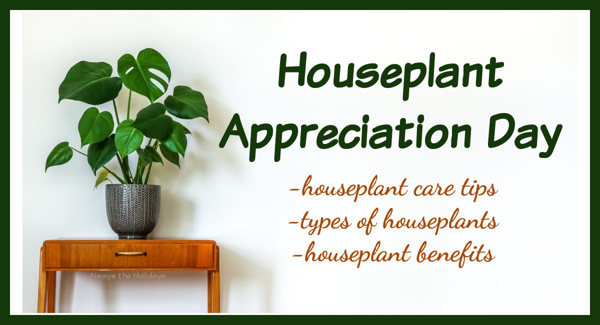 A large monstera on top of a side table with a text overlay beside it that reads "Houseplant Appreciation Day - houseplant care tips, types of houseplants and houseplant benefits".