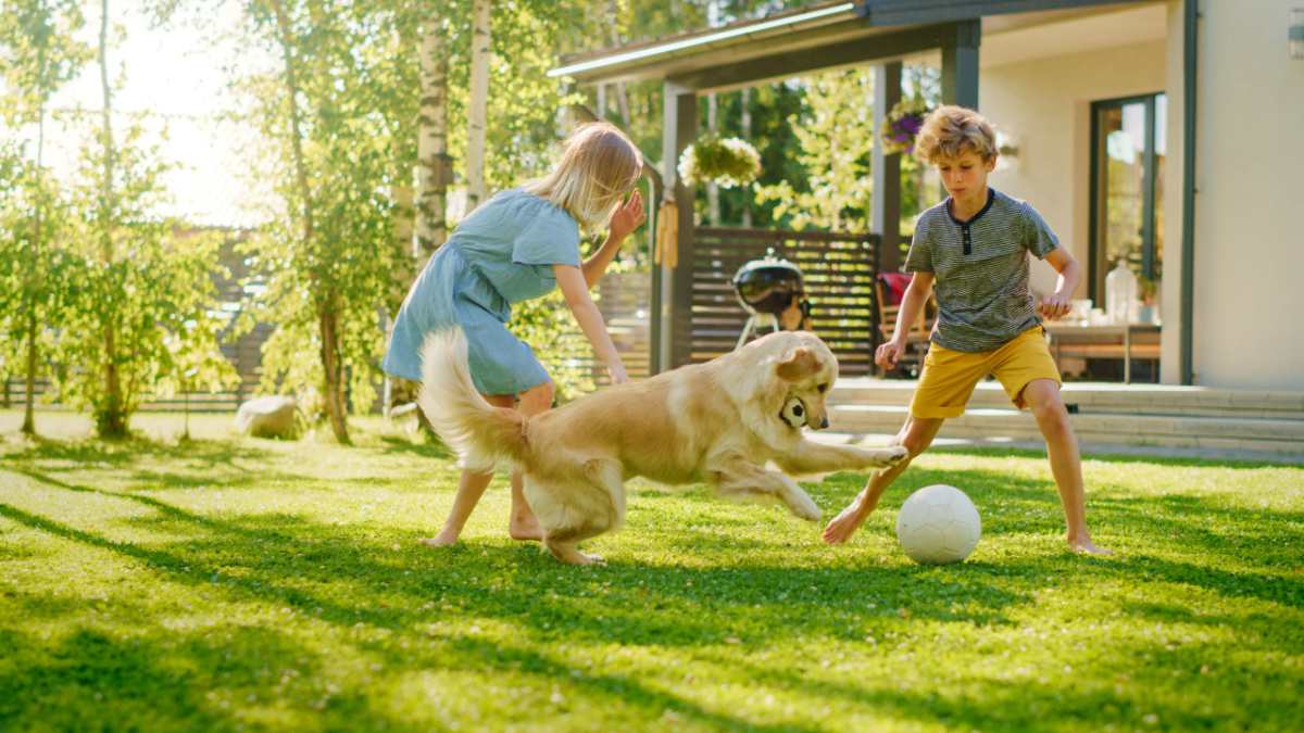 Two children playing with a golden retriever dog and a ball in the yard.