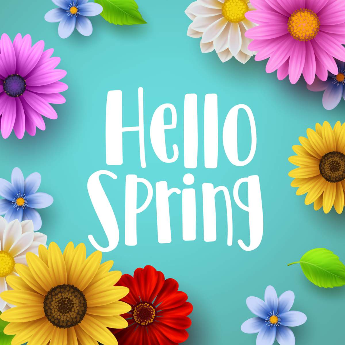 A teal background with the words "Hello Spring" in the center, surrounded by a border of spring flowers like sunflowers and daisies.