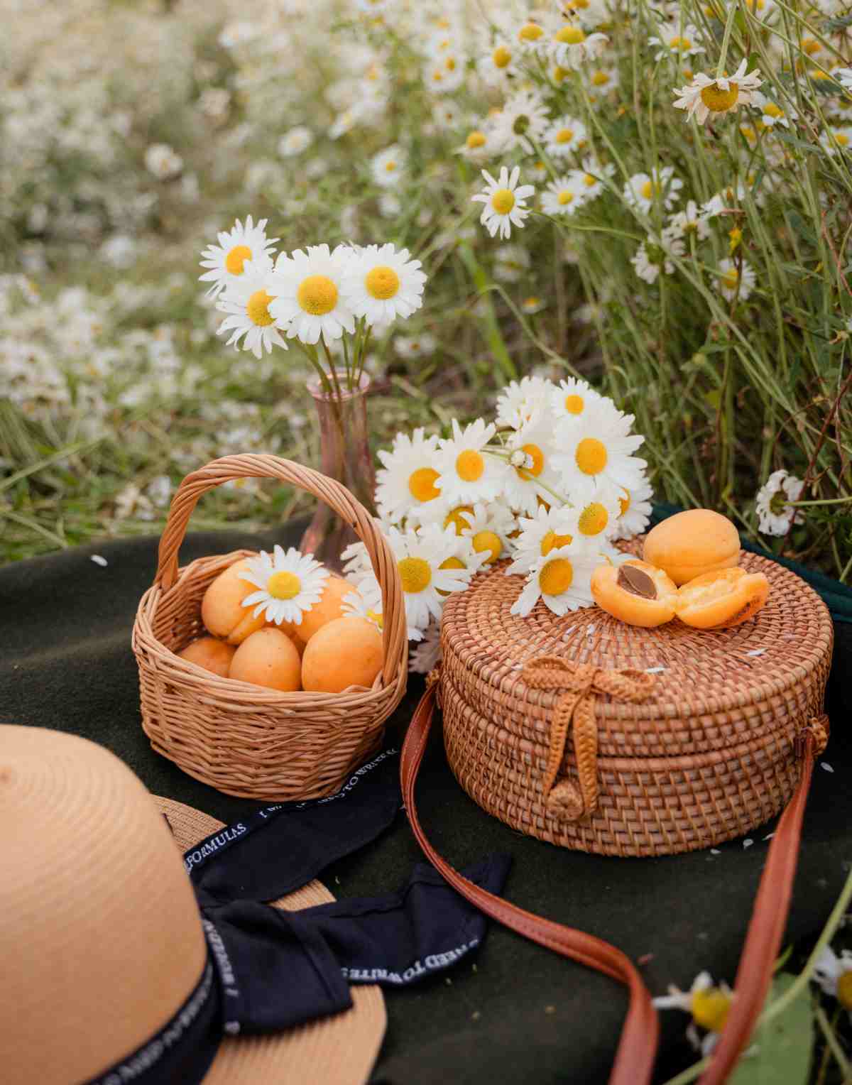 A black blanket in a field of daisies with a basket of peaches, a hat and a wicker handbag on it.