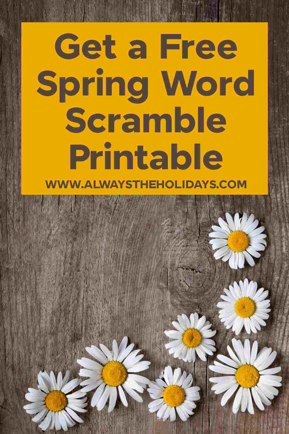 A wooden background with daisies lining the bottom and the right side with a yellow box at the top and text in it that reads "spring word scramble printable".