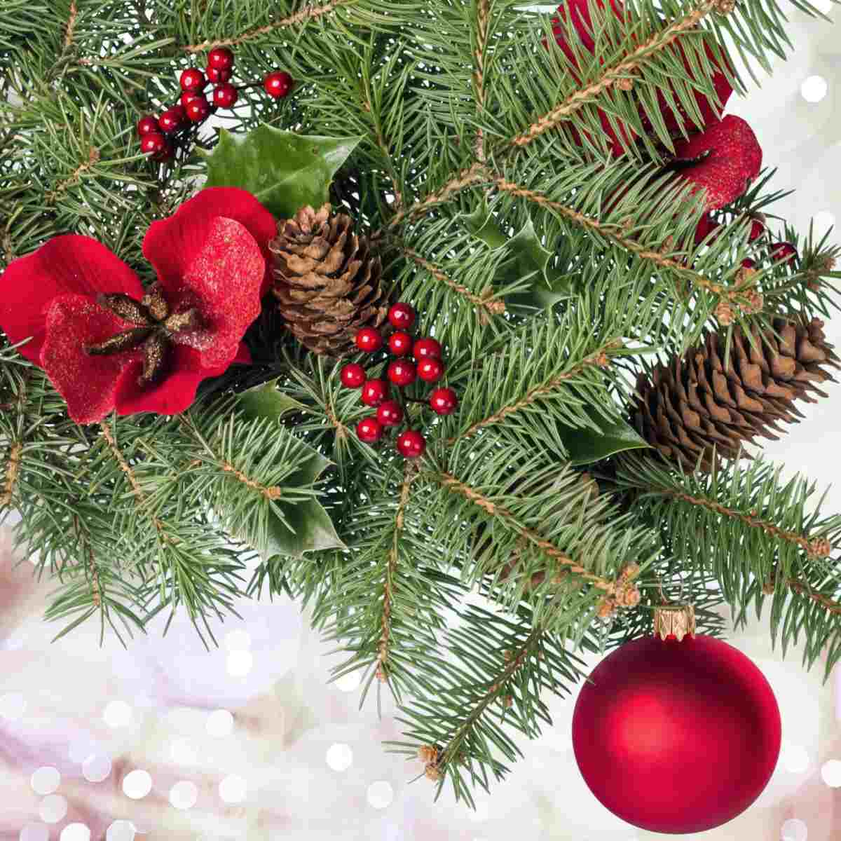 A pine bough with berries, pinecones, poinsettias and a red Christmas ornament nestled into it against a white glittery background.