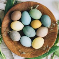A wooden basket of pale pastel Easter eggs, on a white background with greenery around them.