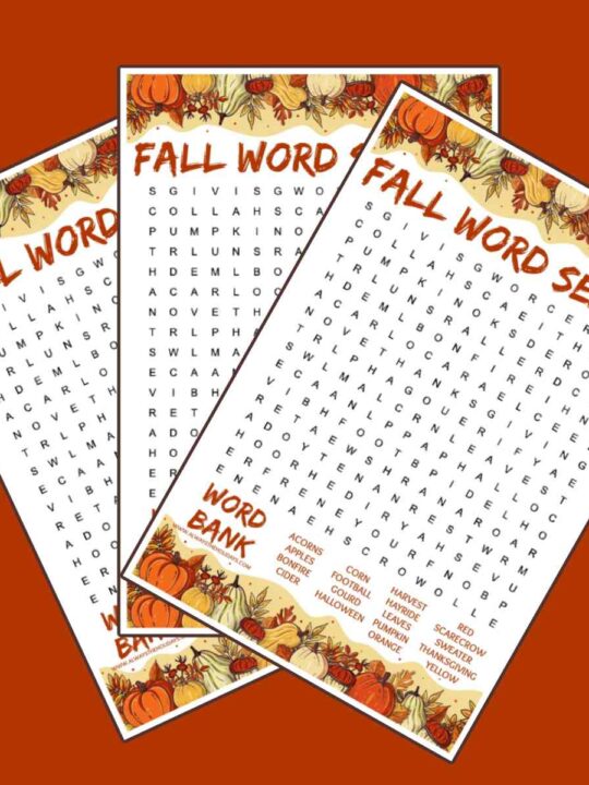 Fall Word Search Puzzles For Adults