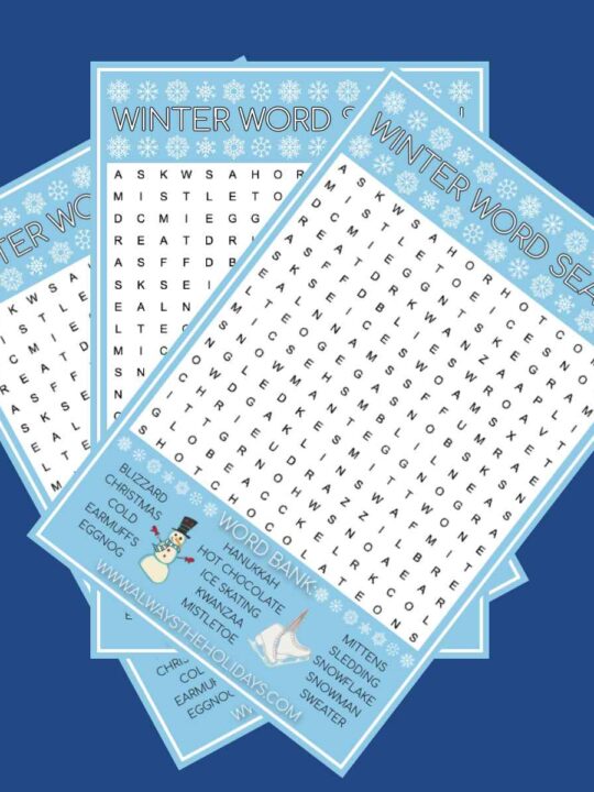Winter Word Search For Adults