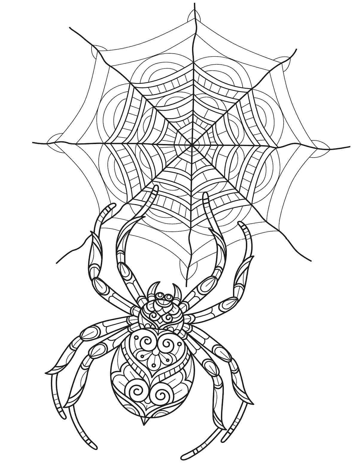A free printable spider coloring pages image with a large spider with an intricate design on its back touching a spider web.